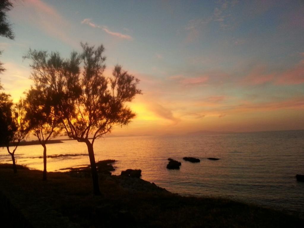 B&B Antica Botte ซัสซารี ภายนอก รูปภาพ
