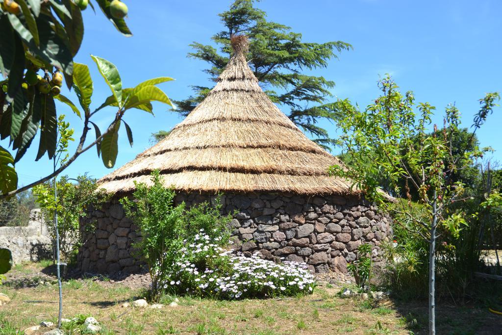 B&B Antica Botte ซัสซารี ภายนอก รูปภาพ